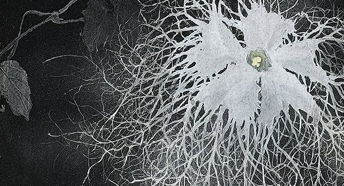 菅原百佳「夜叉」/日本画/紙本彩色/絵画販売(SOLD)