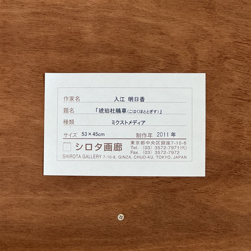 入江明日香「琥珀杜鵑草」」